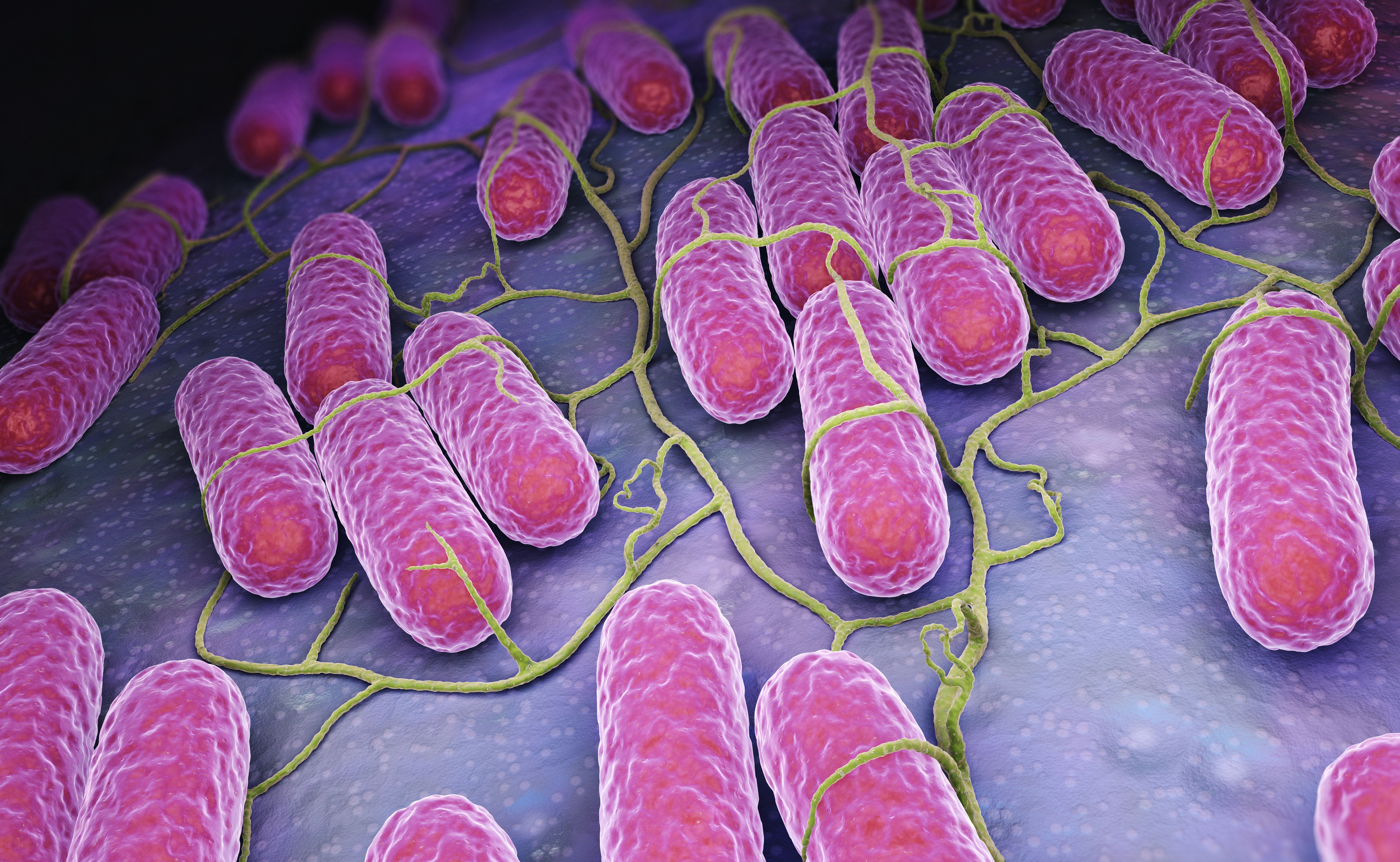 More illnesses confirmed in Rose Acre Farms Salmonella recall