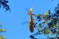 Man dies in Lynn Canyon’s Twin Falls