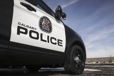 Calgary woman facing criminal charge after dog left in hot car dies