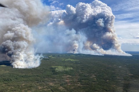 B.C. wildfire crews battle blaze in ancient forest park with 1,000-year-old trees