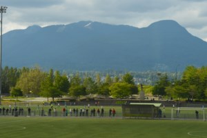 Poll: Vancouverites not a fan of selling naming rights to city parks