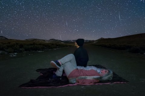 One of the year's brightest meteor showers will dazzle Metro Vancouver skies